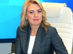  Глава департамента культуры поддержала установку памятника Хою в Воронеже  