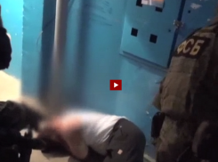 В Воронеже ФСБ взяла «неофита», спонсировавшего ИГИЛ*