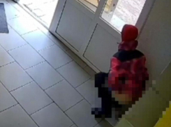 «Помойте бедного котенка»: пользователи обрушились на «Самокат» после видео с испражняющимся воронежским курьером