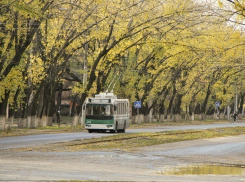 Погода в Воронеже на выходные ожидается прохладная