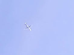 Самолет совершил аварийную посадку в Воронежской области 