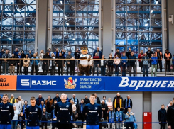 Ситуацию с 4-месячной невыплатой денег ГК “Воронеж” прокомментировал министр спорта