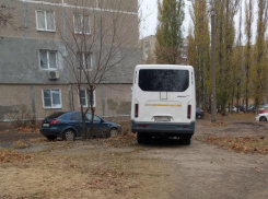 Пешеходная «парковка» открывает воронежцам «грязный путь»