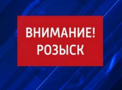 В Воронежской области разыскиваются цыганки, своровавшие у пенсионера 300 тысяч рублей
