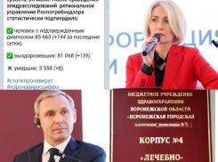 Коронавирус в Воронеже 5 июня: +8 смертей, «контрольная закупка» и постковидная пищевая индустрия 