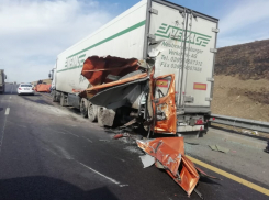 ДТП с грузовиком и микроавтобусом парализовало трассу М-4 «Дон»