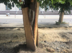 «Чудо 21 века» увидели в центре Воронежа и вспомнили Кстенина