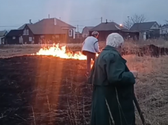«Вы не удержите его»: опасный поступок пенсионеров попал на видео в воронежском СНТ 