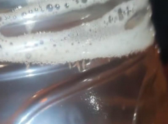 Пиво с кучей личинок попалось жителям Воронежской области