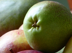 Больше 250 килограмм польских груш уничтожили под Воронежем на полигоне «Каскад»