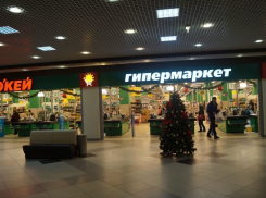 Снегопад в Воронеже распугал горожан: накануне Нового года торговые центры остались без покупателей