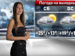 Резкое похолодание с дождями ждет воронежцев на выходных