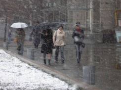 В Воронеже всю неделю будет около 0°С и мокрый снег