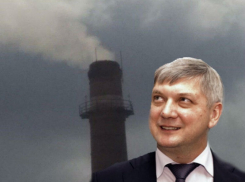 «Экологическая катастрофа! Губернатор Гусев бездействует!»: жители Семилук написали массовое обращение в Москву