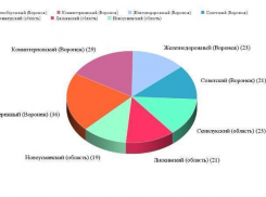 Инфографика: районы Воронежа и области, где чаще всего пропадают люди