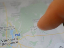 Воронежцы смогут следить  в приложении за передвижениями автобусов 