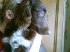 Десятый участник конкурса Я и мой любимец Светлана Поливаева и ее питомцы Люси и Дина (ФОТО-ИСТОРИЯ)