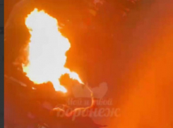 Игры с огнем в центре Воронежа попали на видео