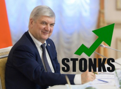 Гусевское правительство «подняло» 3 миллиарда на процентах для дорогих воронежцев 