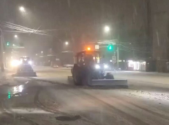 Названо количество техники, убиравшей снег в лютую метель в Воронеже