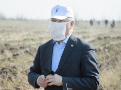 Губернатор Гусев пошел сажать деревья вместо самоизоляции