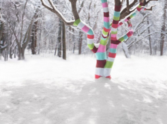 В Воронеже Кольцовский сквер «завяжут» рукодельницы