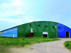 Ангар под производство продают за 235 млн в Воронежской области