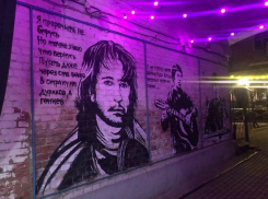Больше тысячи человек выступили в защиту «Аллеи Славы рок-н-ролла» в Воронеже