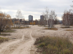 Прогулочная зона появится на левобережной набережной Воронежа