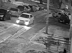 Убийство собаки на глазах у ребенка сняли в Воронеже