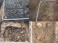 Около 30 доисторических захоронений обнаружили археологи в Воронежской области