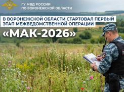 Первый этап операции «Мак-2026» стартует в Воронежской области