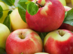 За страховку в 204 млн рублей воронежская компания поборется через апелляцию