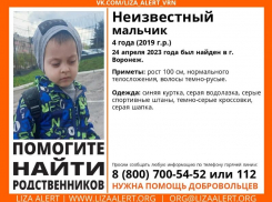 Неизвестный четырехлетний мальчик найден в Воронеже 