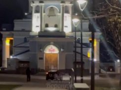 Ночные гонки возле церкви возмутили воронежцев