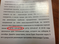 Общественные деятели выступили за открытие «горячей линии» по нарушениям на выборах мэра Воронежа