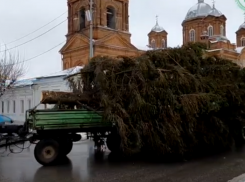 Елочка вам нравится? Селянин преподнес щедрый дар воронежскому району