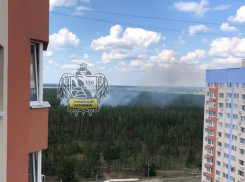Клубы дыма заметили над воронежским лесом – опубликовано видео