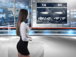 Приятную октябрьскую погоду обещают синоптики на выходных в Воронеже 