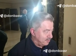 Депутат Госдумы допустил объединение Донбасса с Воронежской областью