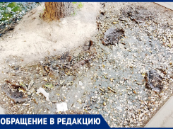  Мокро-вонючий квест испытывает воронежцев на остановке 