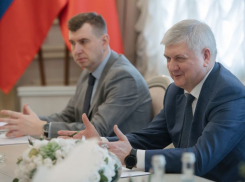 Губернатор Александр Гусев встретился с новым руководителем воронежского «Сбера»
