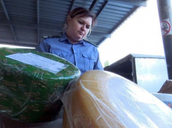 300 кг элитного сыра уничтожили под Воронежем