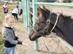 Депутат воронежской гордумы Александр Провоторов организовал для детей путешествие на родину орловских рысаков