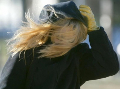 Спасатели предупредили воронежцев о резком усилении ветра