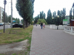 Вандалы оставили воронежцев без комфорта в популярном сквере