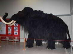 Музей «Костенки» в Воронежской области открывает сезон