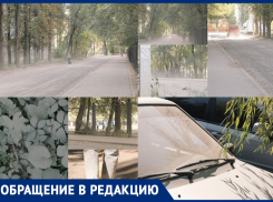 Удушающее испытание: во что превратилась оживленная улица в Воронеже 