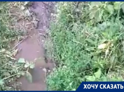 Зловонная жижа стекает во дворы воронежцев в центре города