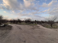 Спасенный от застройки яблоневый сад Воронежа превратили в помойку